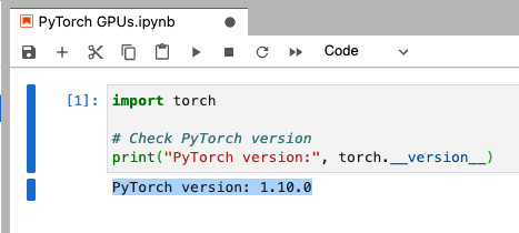 PyTorch version in Jupyter Notebook