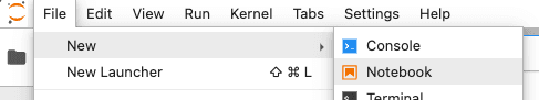 JupyterLab File > New > Notebook